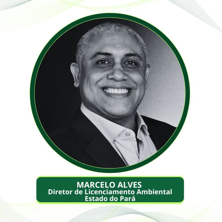 MARCELO ALVES